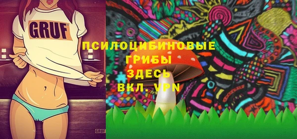 дурь Алексеевка