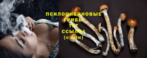 герыч Абаза