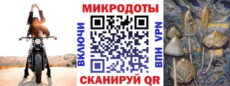 закладка  Хасавюрт  Галлюциногенные грибы Magic Shrooms 