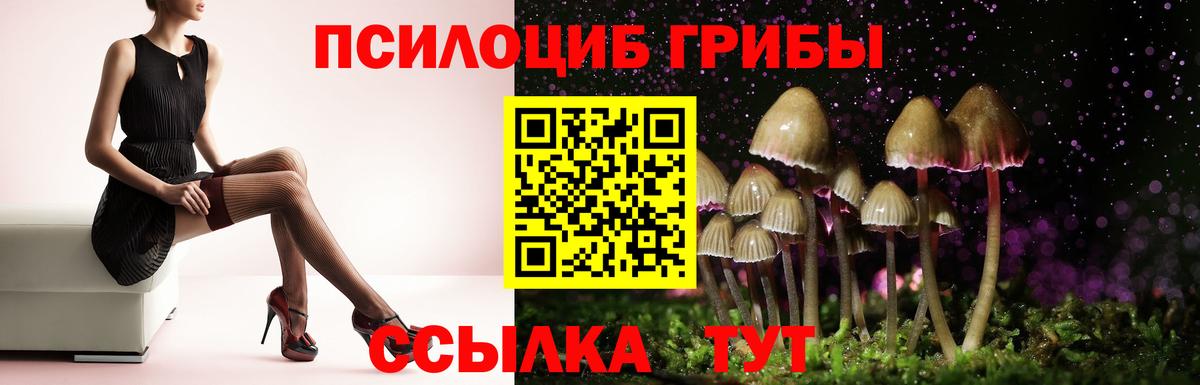 Галлюциногенные грибы мухоморы Хасавюрт